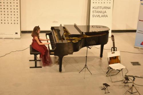 Svilara decembar 2019